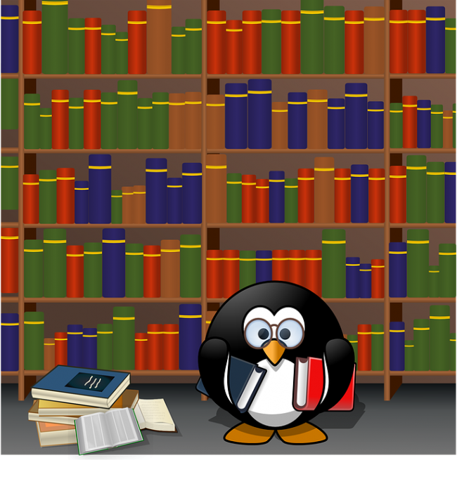 the library book