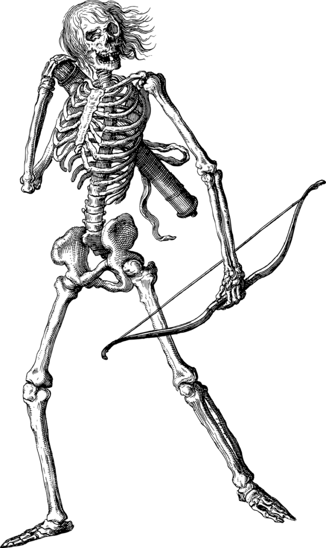 skeleton holding a bow and arrows