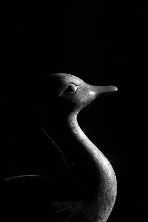 black-and-white image of a carved wooden duck